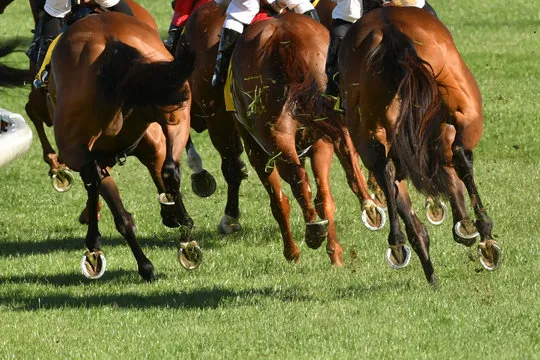 开奖号码走势图 - 数据可视化